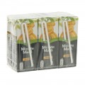 Minute Maid BRIK  Orange Nectar  20 cl  Pak  6 st