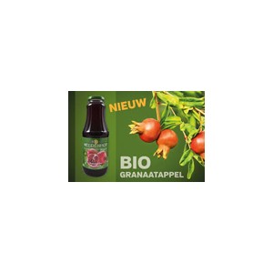 Weldenhof BIO fruitsap  Appel Gember  1 liter  Bak  6 fl