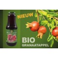 Weldenhof BIO fruitsap  Appel Gember  1 liter  Bak  6 fl