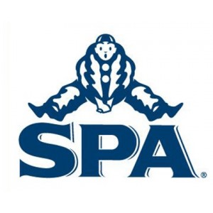 Spa limonade PET  Mojito  50 cl  Pak  6 st