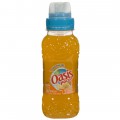 Oasis PET  Tropical  25 cl   Fles