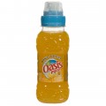 Oasis PET  Orange  25 cl   Fles