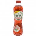 Spa Duo Pet  Peach - Pear  40 cl  Pak  6 st