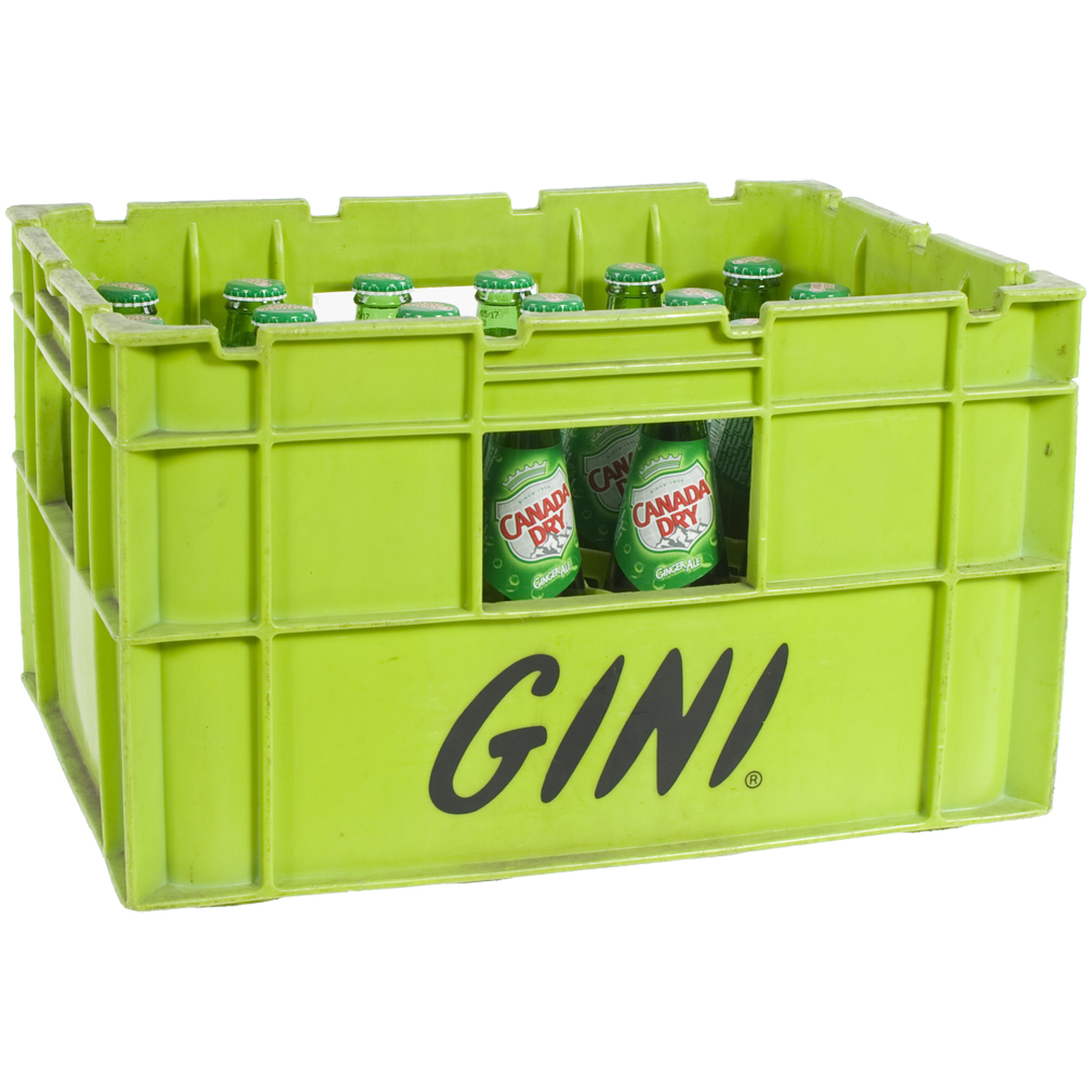 Canada dry  20 cl  Bak 24 st
