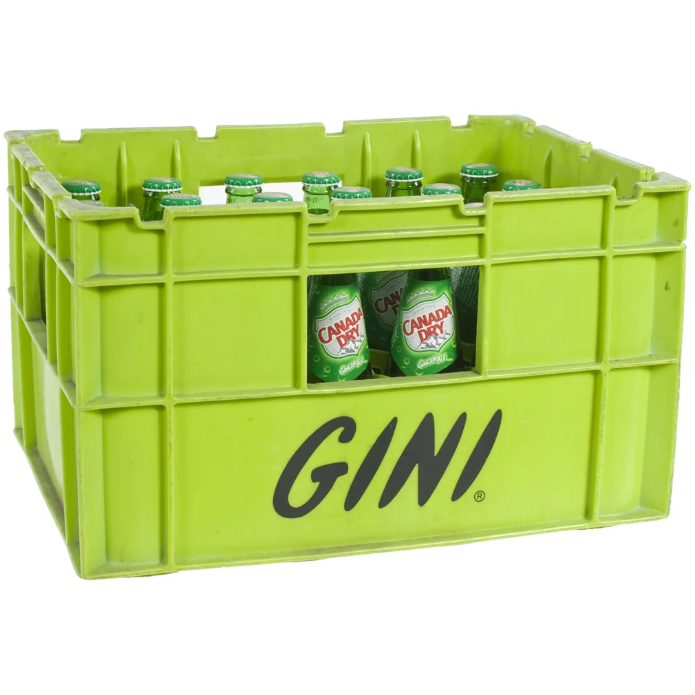 Canada dry  20 cl  Bak 24 st
