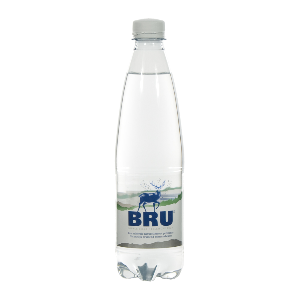 Bru Pet  50 cl  Fles
