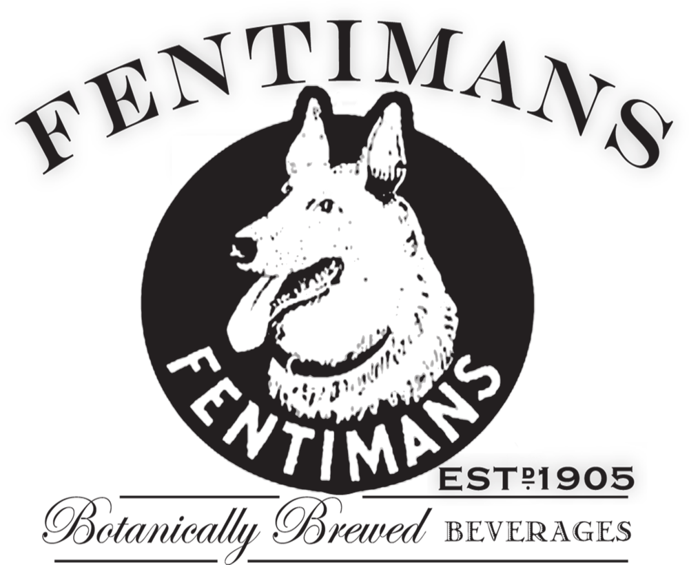 Fentimans tonic  Indian Tonic  50 cl  Doos  8 st