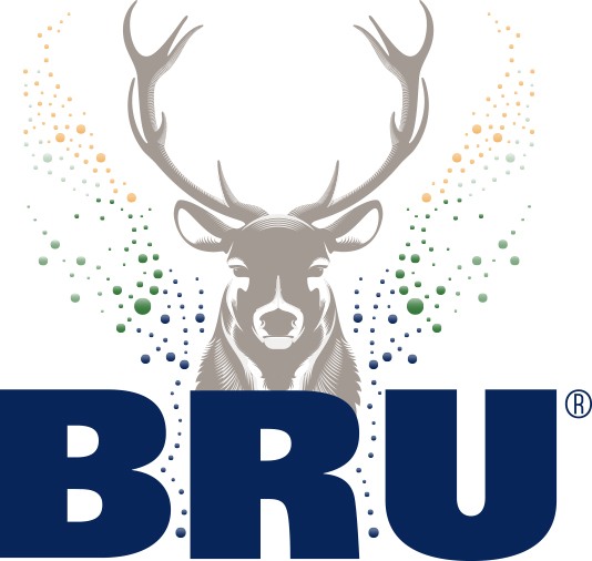 Bru Pet  50 cl  Pak  6 st