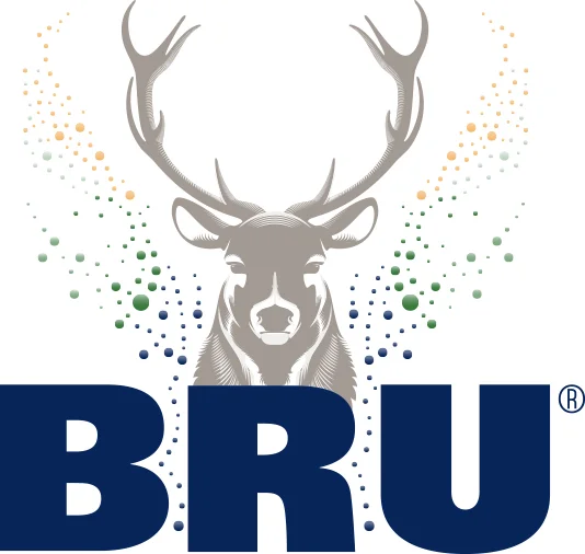 Bru Pet  50 cl  Pak  6 st